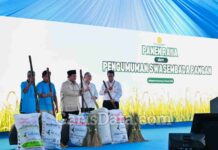 Presiden Prabowo Hadiri Acara Panen Raya, Umumkan Swasembada Pangan Nasional di Karawang