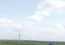 Meningkatkan Kesadaran Lingkungan dan Ketahanan Pangan”Partai Gema Bangsa DPW Kepri Tanam Pohon di Tanjung Pinang