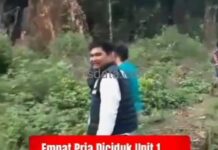 Empat Pria Diciduk Unit 1 Satnarkoba Polres Karo, 75 Batang Ganja Ditemukan di Perladangan Karo