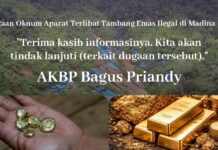 Dugaan Oknum Aparat Terlibat Tambang Emas Ilegal di Madina, Kapolres: Kita Tindak Lanjuti