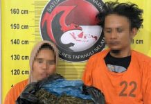 Satresnarkoba Polres Tapsel Meringkus Sepasang Pengedar Narkoba Dengan Barang Bukti 3 Kg Ganja
