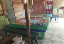 Puluhan Mesin Judi Tembak Ikan Milik DS Bebas Beroprasi Di Deli Serdang, Kapolres Tidak Bertindak Dan Bungkam