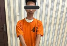 Tanam Ganja Di Samping Rumah, Seorang Pemuda Di Amankan Sat Resnarkoba Polres Karo
