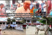 SDN 019 Bonan Dolok Sembelih 2 Sapi dan 1 Kambing, Daging Dibagikan ke Seluruh Siswa