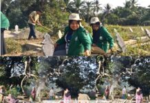 Mahasiswa KKN STAIN Madina dan NNB Gunung Manaon Bersihkan TPU, Wujudkan Semangat Gotong Royong dan Kepedulian Lingkungan
