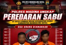 Keluar dari Rumah Warga, Pria di Lumban Dolok Dibekuk Polisi Bawa Sabu