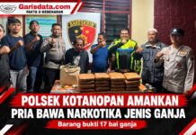 Bawa 17 Bal Ganja, Pria Berinisial AP Ditangkap Polsek Kotanopan, Satu Rekannya Kabur