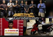 Polres Madina Gagalkan Penyelundupan 13,7 Kg Ganja Asal Padang
